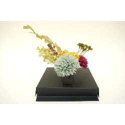 Băng đô - Hàng hiệu Authentic 884053