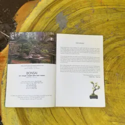  BONSAI KỸ THUẬT CHĂM SÓC CÂY CẢNH  759675