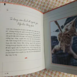 NGỦ THẬT LÂU - YÊU THẬT SÂU _ Những lời khuyên thông thái từ loài mèo _ 713491