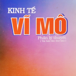 Kinh tế Vĩ Mô (Phần lý thuyết)