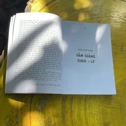 COMBO PHẬT GIÁO HOÀ HẢO- NHẬN THỨC PHẬT GIÁO HOÀ HẢO & SẤM GIẢNG THI VĂN GIÁO LÝ 687924