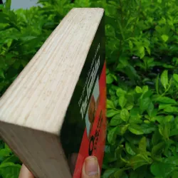 Ông trùm quyền lực cuối cùng của Mario Puzo  990088