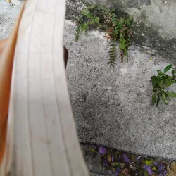 Từ điển thi ca Anh - Mỹ - Việt  1030155