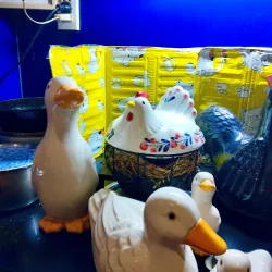 500k cho đàn vịt, đàn gà, 12 gà con, rổ đựng trứng 791105