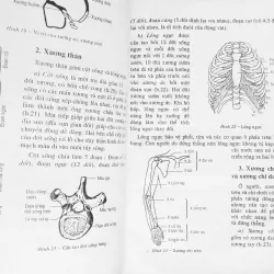 Sinh học lớp 9 xưa (Tập một) 7934