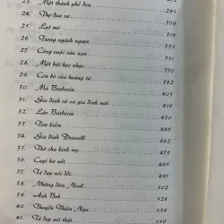 KHÔNG GIA ĐÌNH - HECTOR MALOT (HUỲNH LÝ DỊCH)  1006798