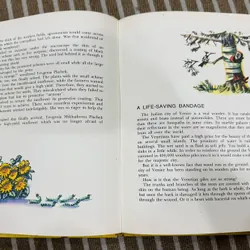 The Magic Tree (Cây thần kỳ) Bìa cứng  599391