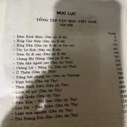 Văn học dân gian các dân tộc thiểu số Việt Nam  1002718