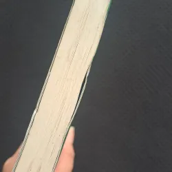 Bắt trẻ đồng xanh - J .D. Salinger 1042987