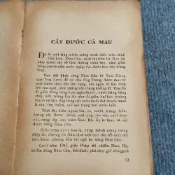 RỪNG ĐÊM XÀO XẠC - ĐOÀN GIỎI 689513