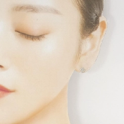 K10WG Bông tai kim cương - Hàng hiệu Chính hãng 872813