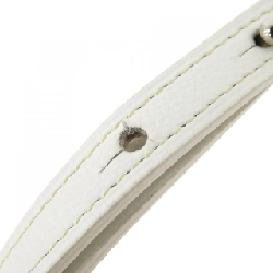 Túi Goyard Sài Gòn 618179