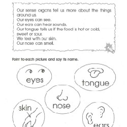 Sách Tiếng Anh - 300 Kindergarten -  Math, Science, English - bộ 3 cuốn đen trắng - mới 56833