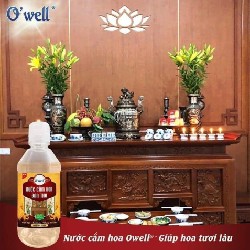 NƯỚC CẮM HOA OWELL

