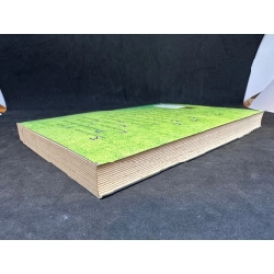 Ừa, chỉ có vậy thôi (bút ký, tản văn)- Lê Giang, mới 80% (ố nhẹ) SBM0201 347498
