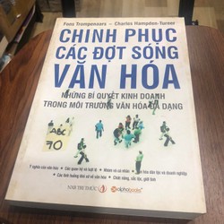 Chinh phục các đợt sóng văn hóa - Fons Trompenaars 139651