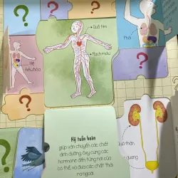 The human body cơ thể người 765876