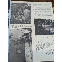 Tạp chí hương quê ( nguyệt san ) - nhiều tác giả 1006761