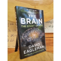 THE BRAIN : THE STORY OF YOU - DAVID EAGLEMAN