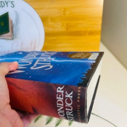 [Sách 2hand từ US] Like new 90% - Wonderstruck – Brian Selznick 472975