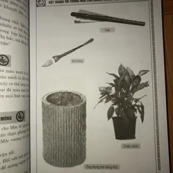 Phong thuỷ cải vận - Dành cho mệnh khuyết Mộc, Hoá 701568