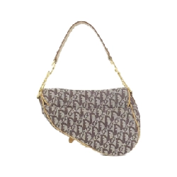 Túi xách vai Christian Dior Saddle SLO44001 - Hàng hiệu Authentic 768210