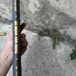 Sứ mệnh văn nghệ của Nguyễn Nam Châu 1026176