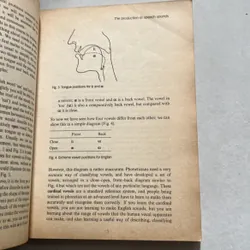 English Phonetics and Phonology - Peter Roach 674383