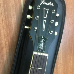 Fender Tim Amstrong Hellcat 273845