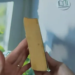 [MIỄN PHÍ BỌC SÁCH] [XƯA] The Concrete Blonde (1994) - Michael Connelly 1027611