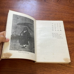 II Tựa sách: Lời Thiền - Ngô Ánh Tuyết, Viên Thông - 1995 502434