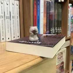 Kẻ lang thang - Lương Kha 746824