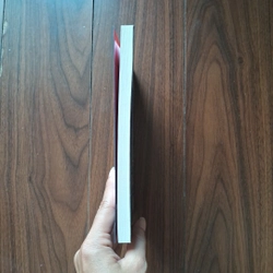 Hoa tulip đen 505281