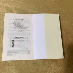 NHỮNG CON VỊT CÁNH SẺ - TRẦN HỒNG GIANG 751721