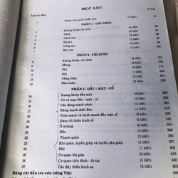 📚 BỘ 2 TẬP BÀI GIẢNG GIẢI PHẪU HỌC – GS. Nguyễn Quang Quyền  509222