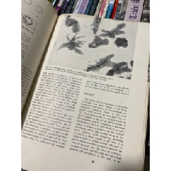 The Principles of General Biology, 2nd edition - Gardiner and Flemister 738480