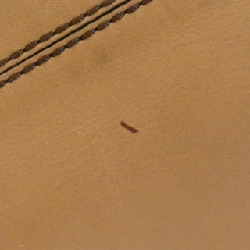 Túi xách Tod's D-Styling XBWAGAH0204PASS812 - Hàng hiệu Chính hãng 804171