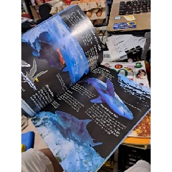 Bách Khoa Tri Thức Về Khám Phá Thế Giới Cho Trẻ Em - Cá Mập - Jonathan Sheikh-Miller - - MẸ VÀ BÉ - HCM3012 925156