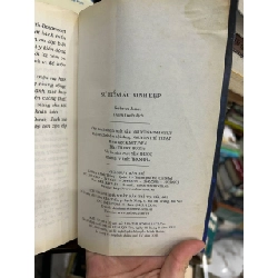 Sự hiếm ác Xinh Đẹp (Beautiful Malice) - REBECCA JAMES 932025