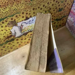 Lịch Sử Văn Học Pháp - Xavier Darcos 560540
