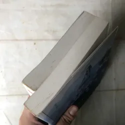 Combo Trường Hận (Bộ 2 Cuốn) - Đạm Anh 800721