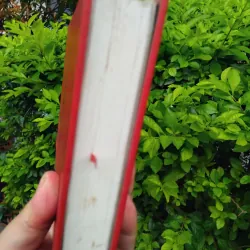 Bản đồ và vùng đất tiểu thuyết của Michel Houellebecq 960774