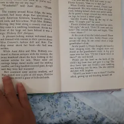 The bobbsey twins and the big rivers mystery 930936