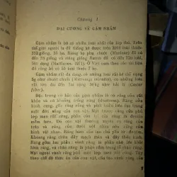 Những loài gặm nhấm ở Việt Nam - Cao Văn Sung - Đặng Huy Huỳnh - Bùi Kính 932709