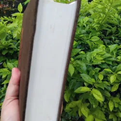 Leonardo Da Vinci của Walter Isaacson 972258