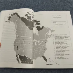 ĐẾ CHẾ HẢI LY 990661