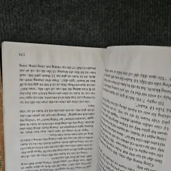 Trần lệ xuân giấc mộng chính trường 746012