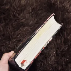 Rừng xanh lá đỏ 1001641