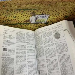 Từ Điển Bách Khoa Y Học Anh - Việt, A-Z - Ngô Gia Hy chủ biên 715854