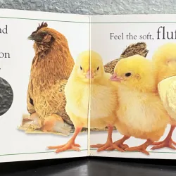 Board book sờ chạm - Touch and Feel: Farm (DK) 995012